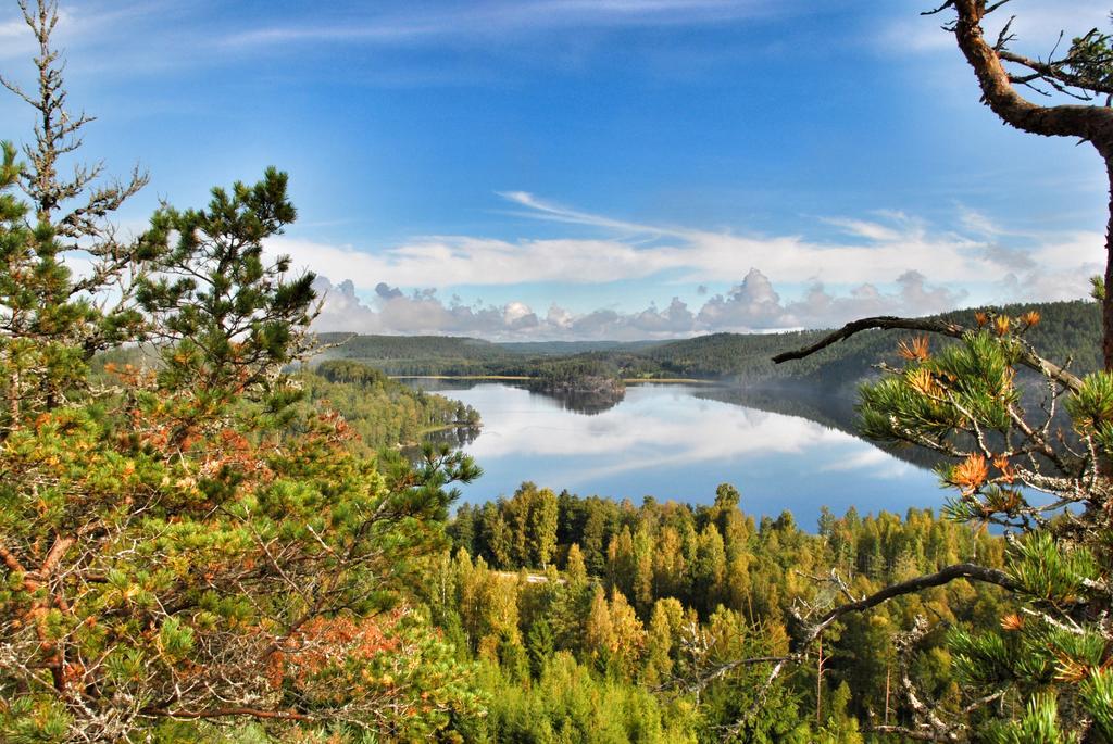 Foellingen Hotell Kisa Dış mekan fotoğraf